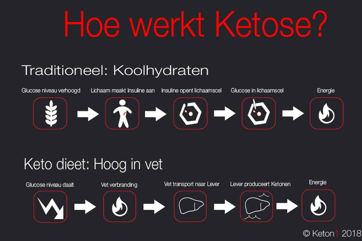 keto-hoe-werkt-dat